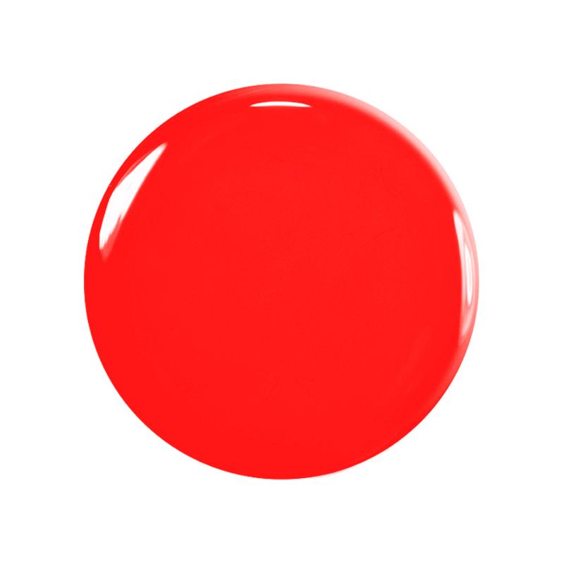 Red Coral – Image 2