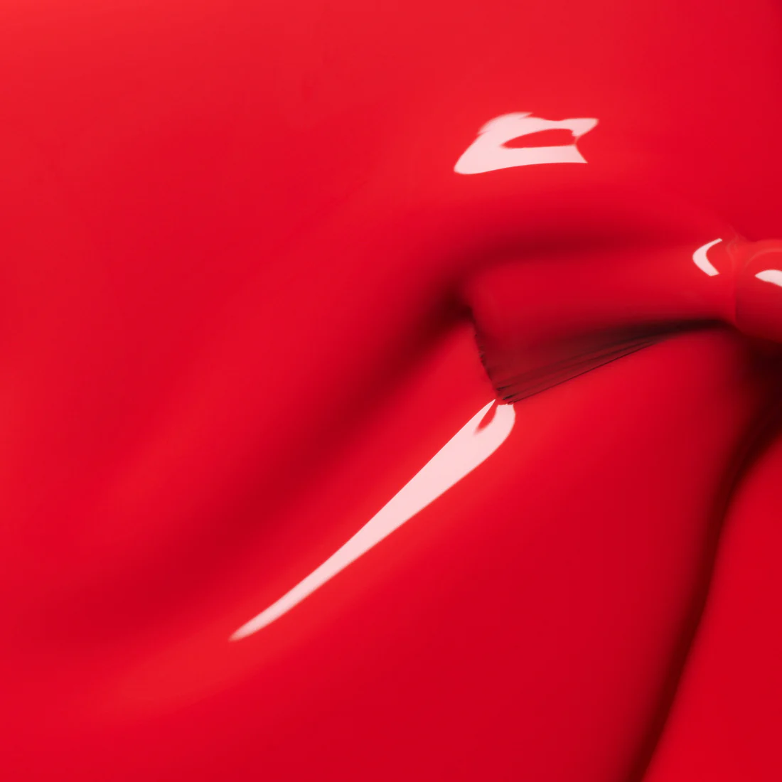 Red Coral – Image 4