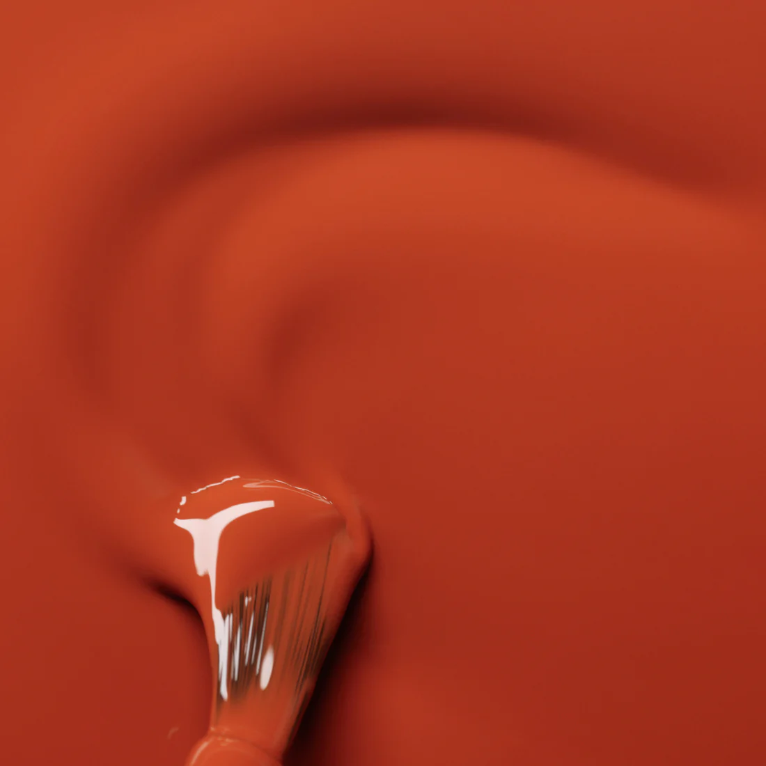Terracotta – Image 3